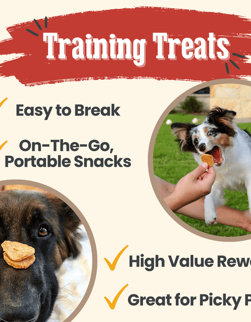 Load image into Gallery viewer, Chicken Chips for Dogs | All-Natural Single-Ingredient Dog Treats
