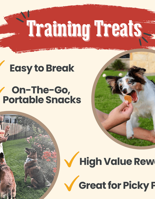 Load image into Gallery viewer, Chicken Chips for Dogs | All-Natural Single-Ingredient Dog Treats
