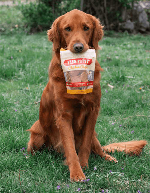 Load image into Gallery viewer, Chicken Chips for Dogs | All-Natural Single-Ingredient Dog Treats
