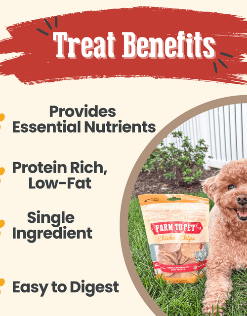 Load image into Gallery viewer, Chicken Chips for Dogs | All-Natural Single-Ingredient Dog Treats
