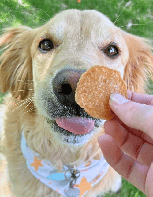 Load image into Gallery viewer, Chicken Chips for Dogs | All-Natural Single-Ingredient Dog Treats
