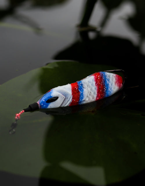Load image into Gallery viewer, Snek Frog
