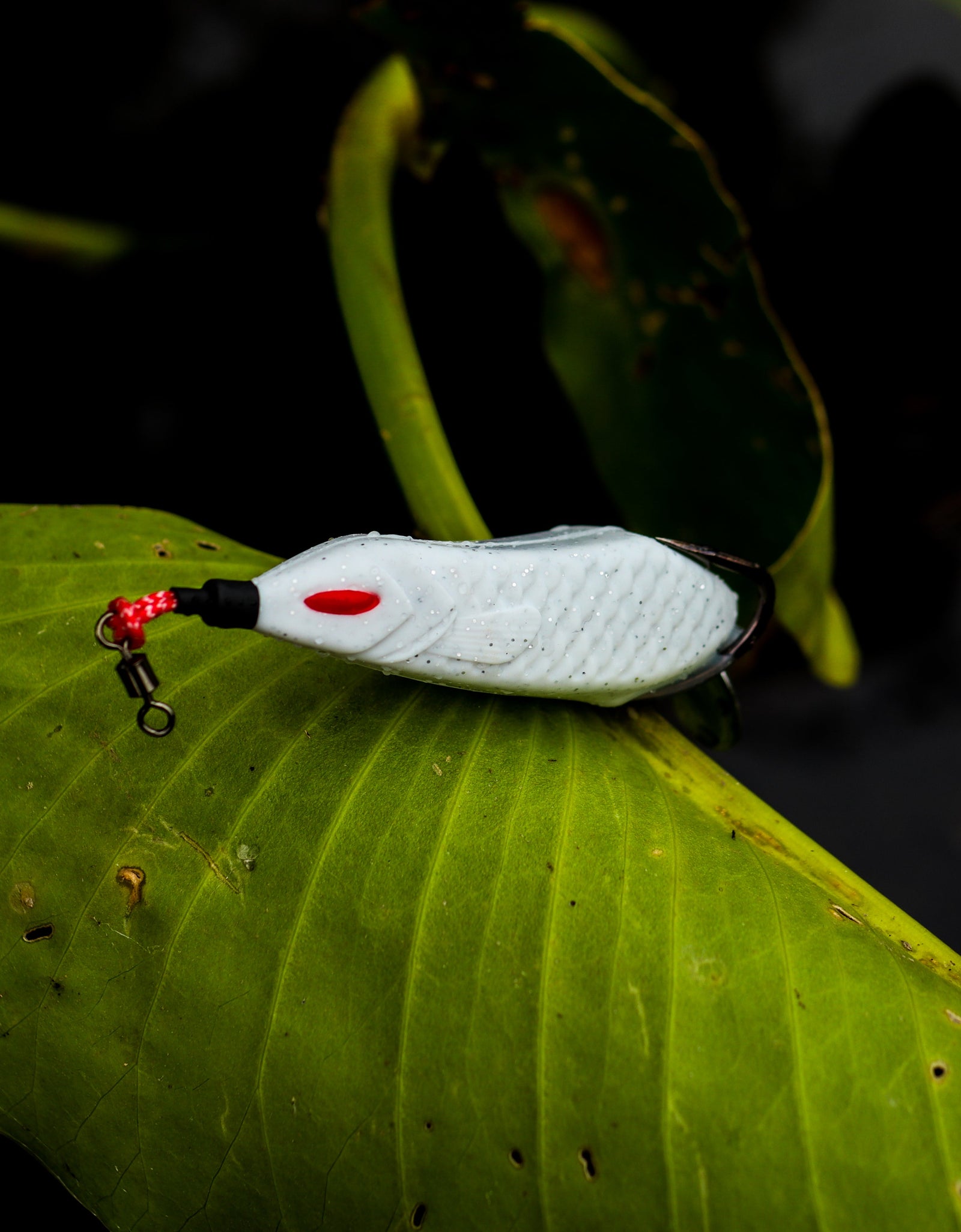 Snek Frog