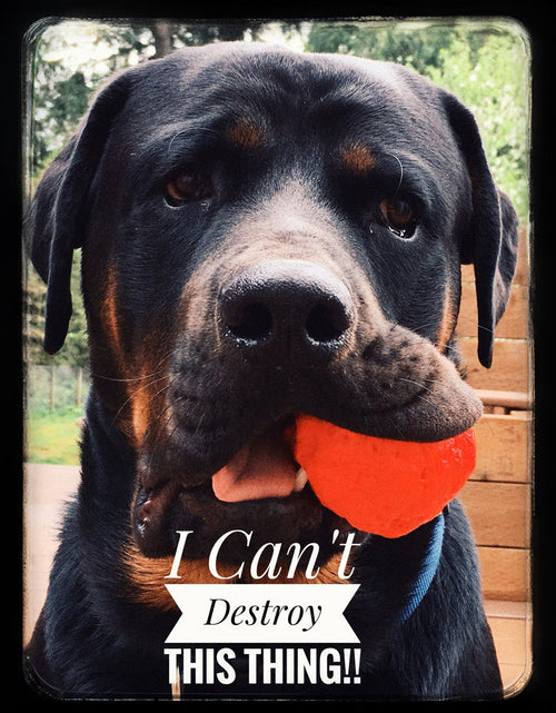 Load image into Gallery viewer, WUNDERball - Best Fetch Toy
