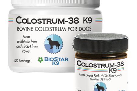 Colostrum-38 K9