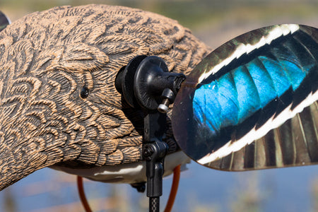 Animator V2 for Lucky Duck Decoys