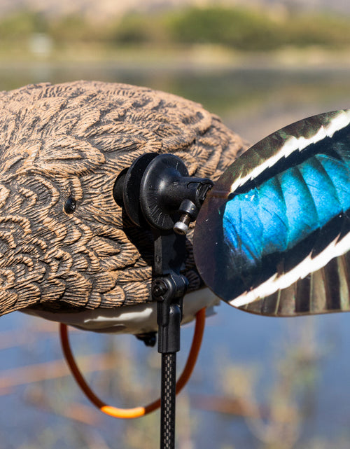 Load image into Gallery viewer, Animator V2 for Lucky Duck Decoys
