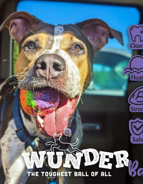 Load image into Gallery viewer, WUNDERball - Best Fetch Toy
