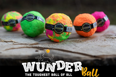 WUNDERball - Best Fetch Toy