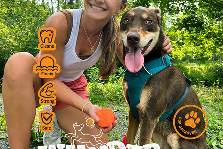 WUNDERball - Best Fetch Toy