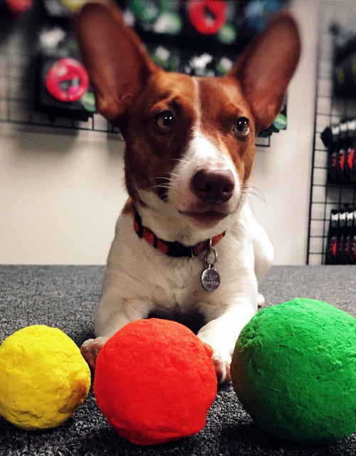 Load image into Gallery viewer, WUNDERball - Best Fetch Toy
