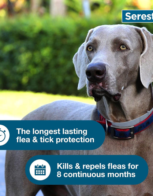 Load image into Gallery viewer, Seresto Flea &amp; Tick Dog Collars
