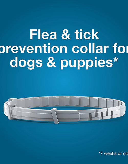 Load image into Gallery viewer, Seresto Flea &amp; Tick Dog Collars
