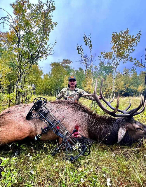 Load image into Gallery viewer, TOTA | 100 grain broadhead | 1-inch solid | fixed blade
